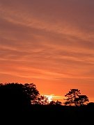 David Plant Photography - Wildlife Photographer - Sunset - B